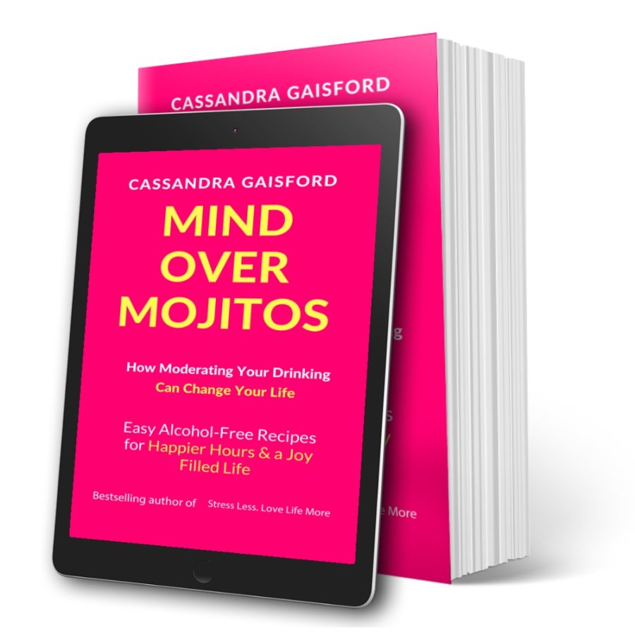 Ebook and Print Mind Over Mojitos BookBrushImage
