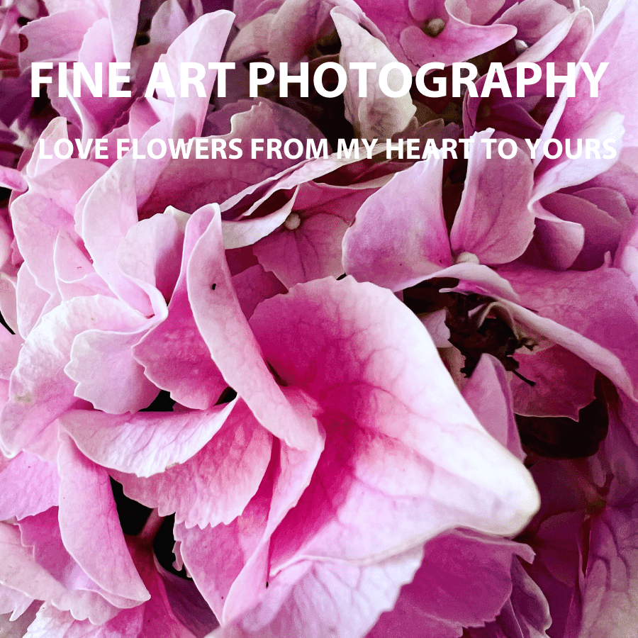 Photographic Fine Art Flora