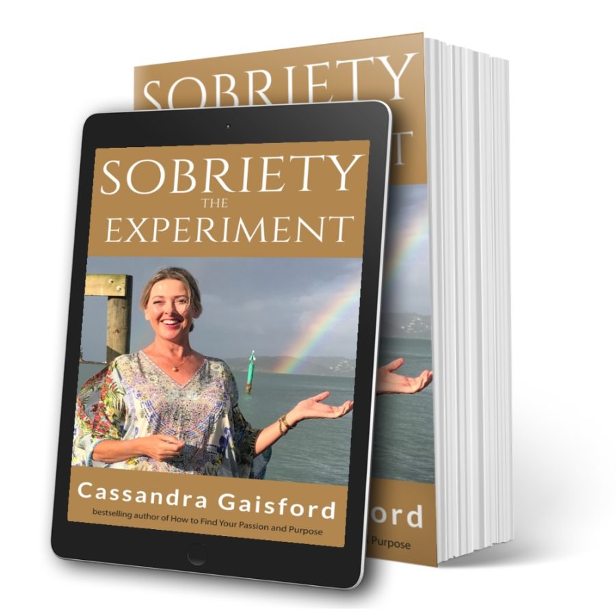 The Sobriety Experiment
