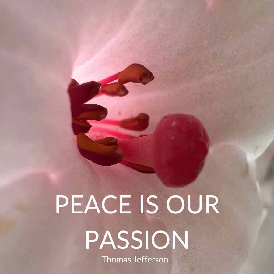 The Priceless Power of Peace: Unlocking Inner Harmony